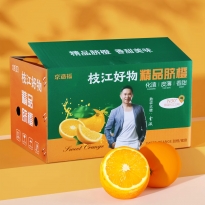 好物精品脐橙