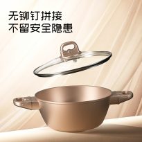 帝伯朗沐光金丝汤锅22cm