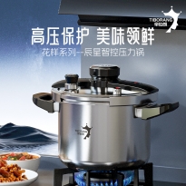 帝伯朗花样系列 辰星多功能压力锅6L