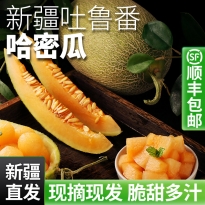 民间造物新疆火焰山哈密瓜当水果 爆甜多汁脆爽