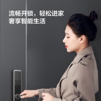 TCL智能门锁S10R Pro
