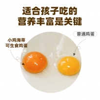 小鸡海蒂太行山非笼养不含沙门氏菌可生食标准新鲜鸡蛋礼盒装送礼 可生食山养鲜鸡蛋30枚/盒1450g