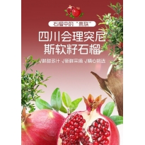 会理石榴大果彩箱4.5斤